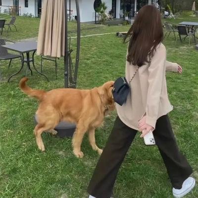 翘楚