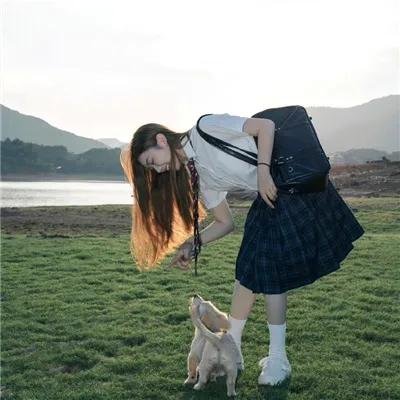 番茄红